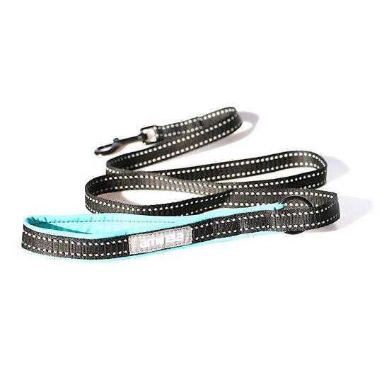 Aminela jednoduché vodítko nepodšité Sport & City 20mm/150cm tyrkysová