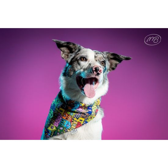 FUNKY DOG Městský šátek pro psa
