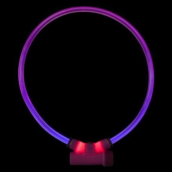 Red Dingo Obojek Lumitube S-M 15-50 cm fialový BEZ BATERIE