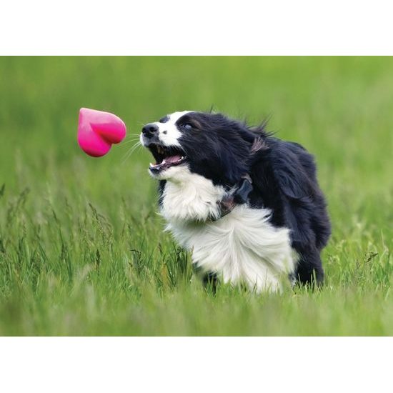 Ruff Dawg nezničitelná hračka pro psy srdce 10,16cm pro velké psy nad 18 kg