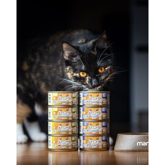 Marp Holistic Plus konzerva pro kočky Kuřecí paté s hovězími kousky 24x70g