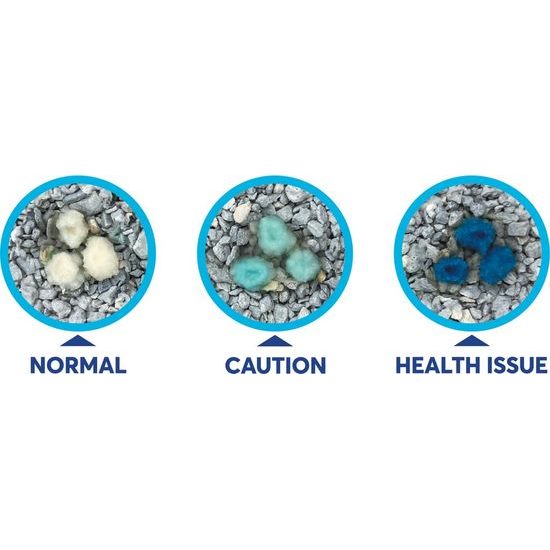 Intersand kočkolit Odourlock maxCare 12kg