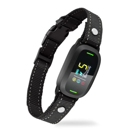 Reedog Protištěkací obojek S1