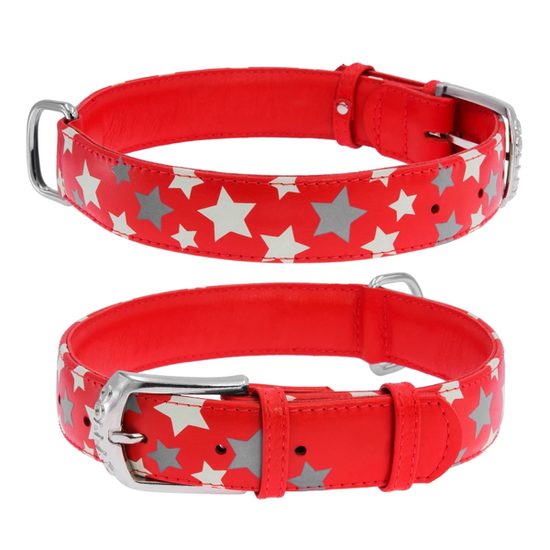 WAUDOG Obojek kožený Stars