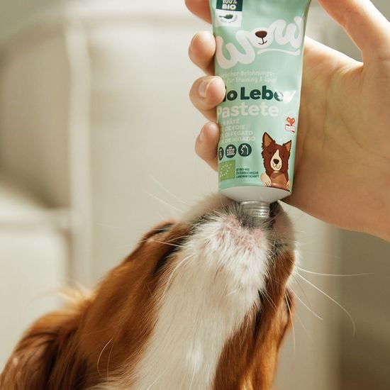 WOW Bio Játrová pasta 80g