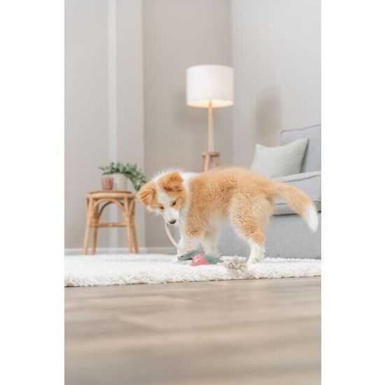 Trixie Dragon dráček na laně 55 cm hračka pro psy 100% pravá kůže/lano zelená