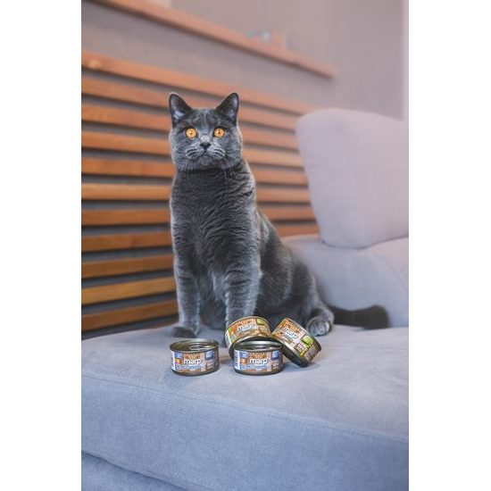 Marp Holistic Plus konzerva pro kočky Tuňákové paté s krevetami 24x70g