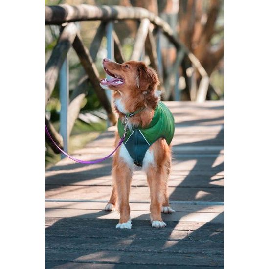 Red Dingo bunda Puffer Jacket Green/Lime velikost bundy 60 cm