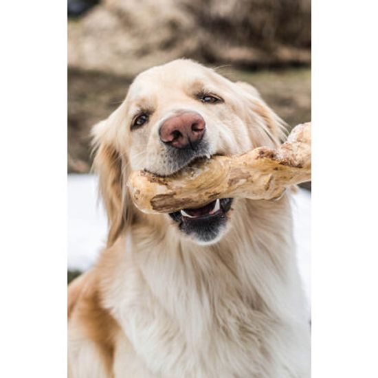 Chewies Kávové dřevo Chewies na žvýkání L