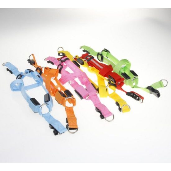 Reedog svíticí kšíry pro psy a kočky