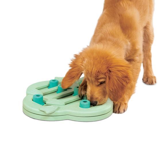 Nina Ottosson Pamlskový hlavolam