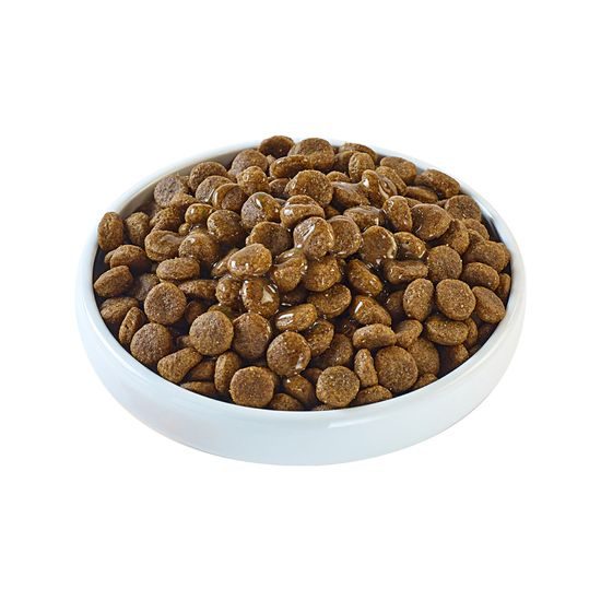 Applaws kapsička Dog Taste Toppers Smoothie vývar 200ml
