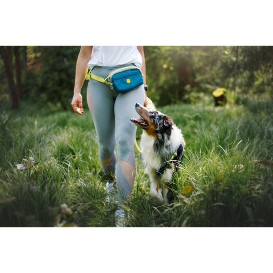 Woolly Wolf Alpha 360 Hip Pack