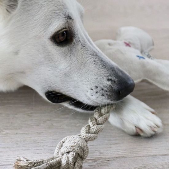 FUNKY DOG Slintoš ušatý přírodní hračka pro psa