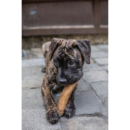 Chewies Kávové dřevo Chewies na žvýkání L