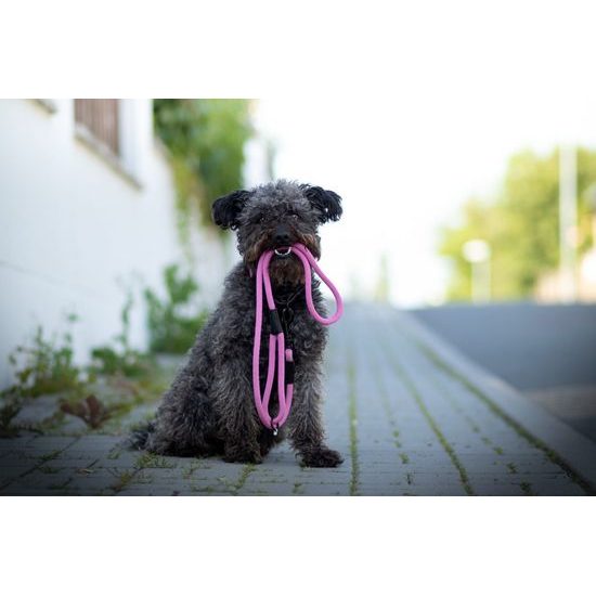 Aminela Vodítko lano s kůží černé kování růžová