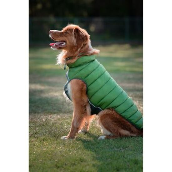 Red Dingo Puffer Jacket Červená / Oranžová velikost bundy 25 cm