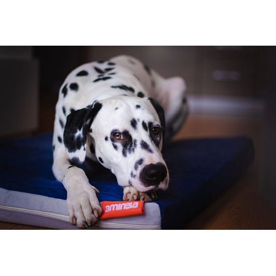 Matrace Aminela 120x80x10cm Half and Half modrá/světle šedá