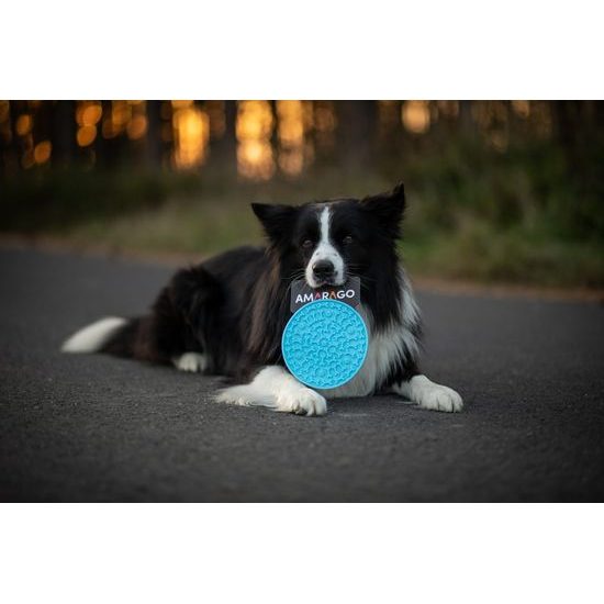 Amarago lízací podložka kruh modrý