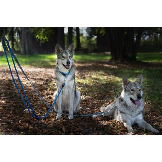 Aminela popruhové přepínací vodítko 15mm/220cm šedé