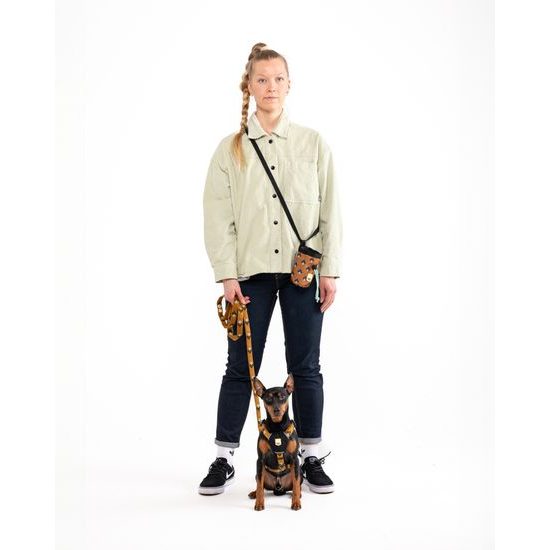 Woolly Wolf Sea To Summit Leash