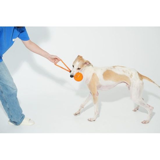 Cheerble Wicked Ball Air Rope