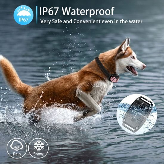 Reedog Protištěkací obojek V2