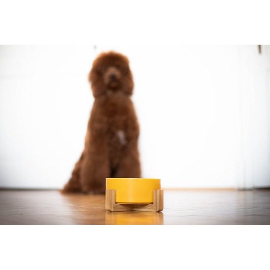 Aminela keramická miska v dřevěném stojanu žlutá 750ml