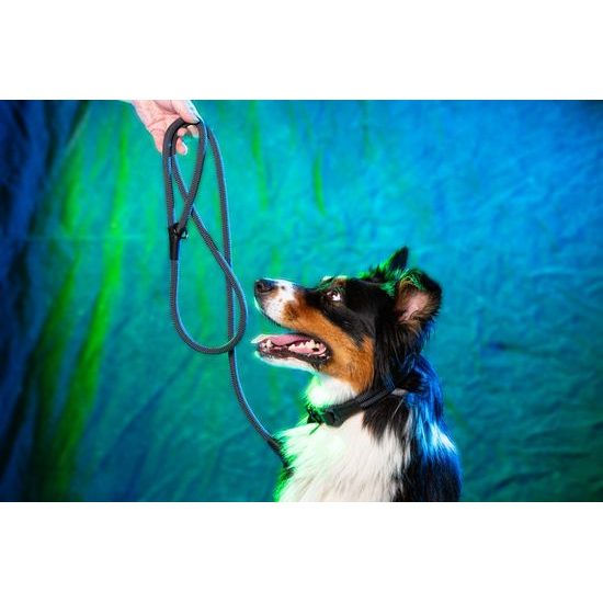 Aminela Vodítko lano s kůží černé kování šedá