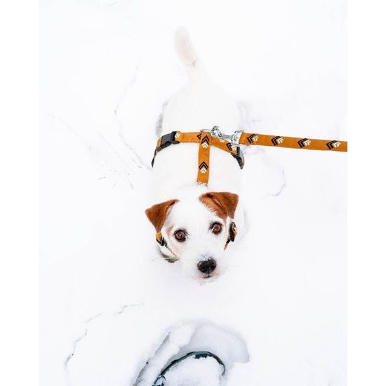 Woolly Wolf Sea To Summit Leash