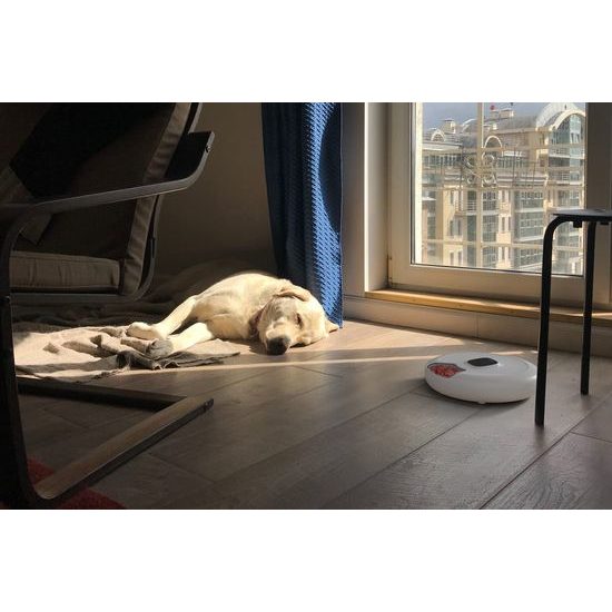 Petoneer NutriSpin Inteligentní dávkovač na suché i mokré krmivo