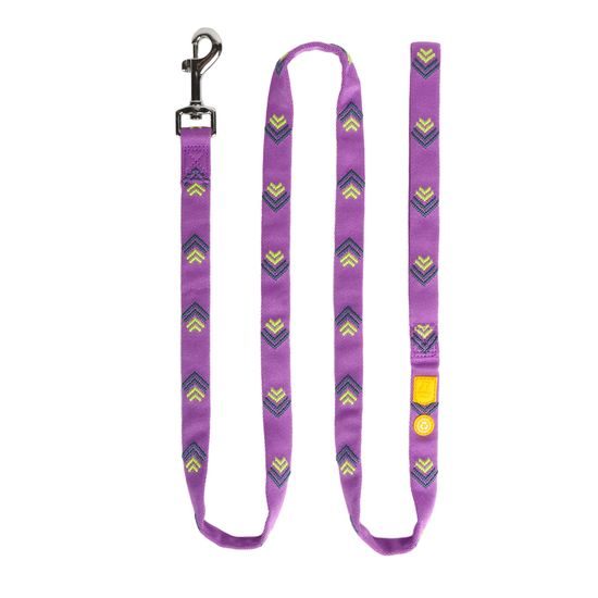 Woolly Wolf Northern Lights Leash