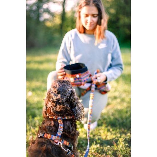 Woolly Wolf Nightless Night Harness