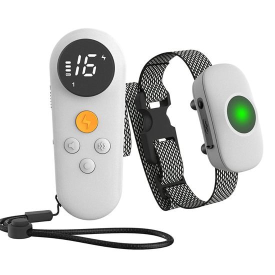 Reedog Elektronický výcvikový obojek TC-021 Bílá