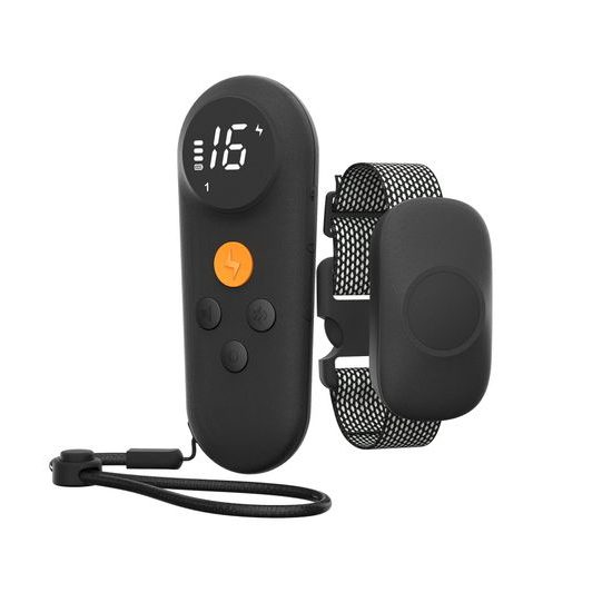 Reedog Elektronický obojek TC-021