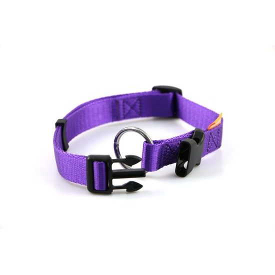 Aminela obojek 25mm/35-55cm fialový