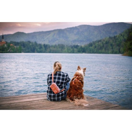 Woolly Wolf Alpha 360 Hip Pack