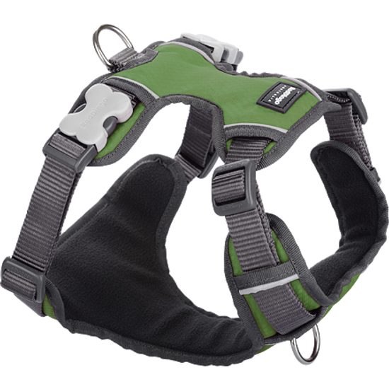 Red Dingo Postroj polstrovaný zelený