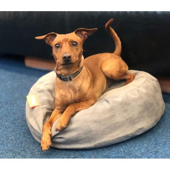 Kulatý pelíšek Aminela Full comfort 50/12cm šedá