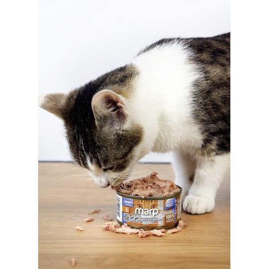 Marp Holistic Plus konzerva pro kočky Tuňák se sardinkami a borůvkami v želé 24x70g