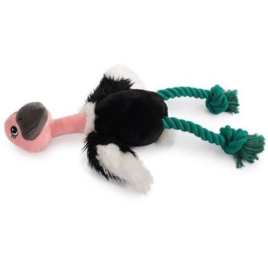 AFP Safari Jungle Pštros