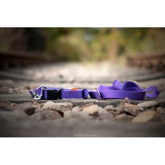 Aminela obojek 25mm/40-65cm fialový