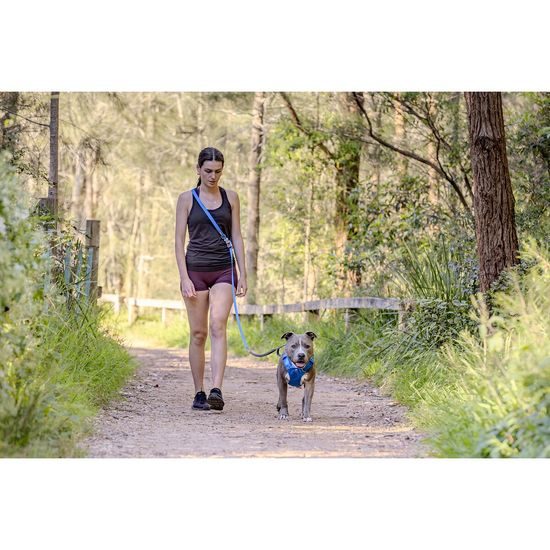 Red Dingo vodítko SuperLead Running Electric Blue 25 mm x 2,25 m