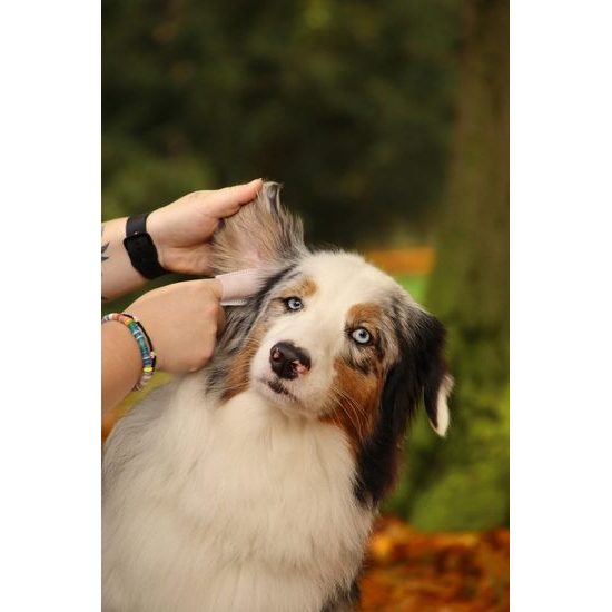 Aminela ubrousky na oči a uši 50ks