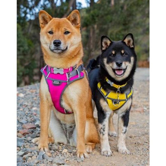 Red Dingo Postroj polstrovaný L 56-80cm