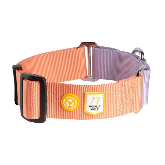 Woolly Wolf Color Block Martingale Collar