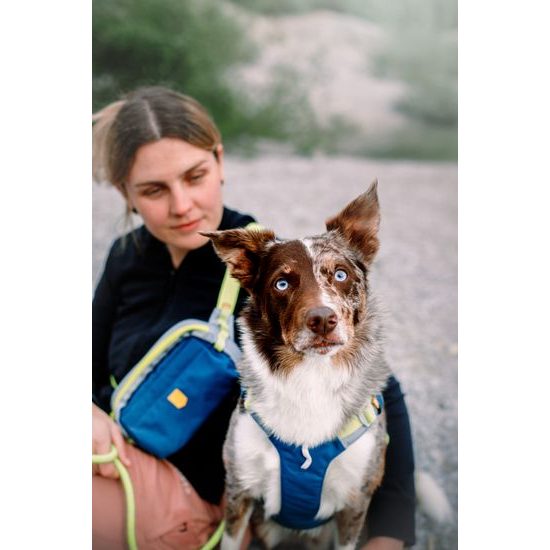 Woolly Wolf Alpha 360 Harness