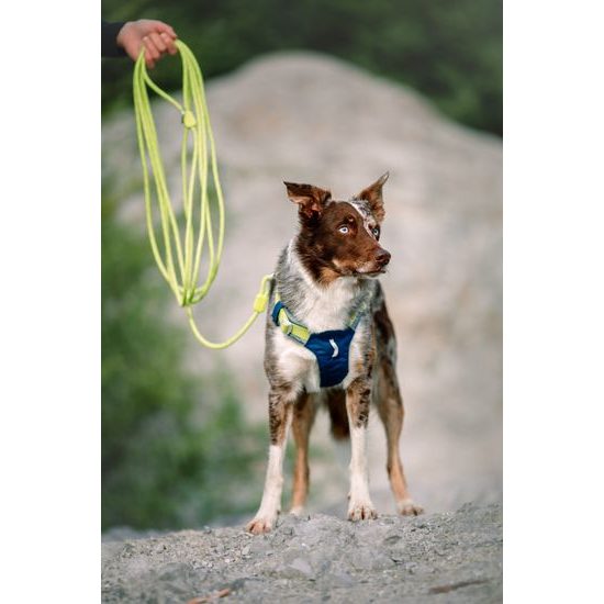 Woolly Wolf Alpha 360 Harness