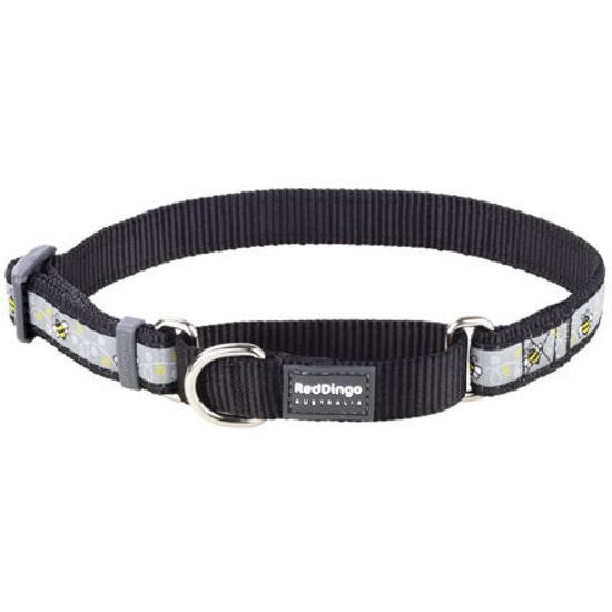 Red Dingo Obojek polostahovací 25 mm x 41-62 cm Bumble Bee Black