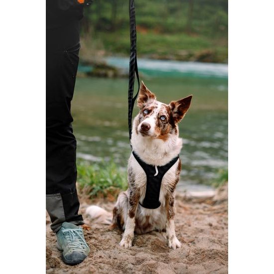Woolly Wolf Roam Adjustable Leash